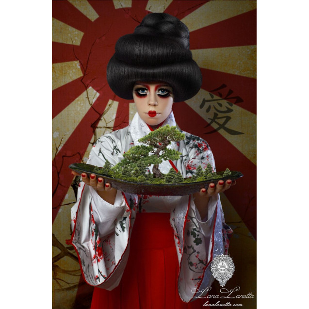 Geisha-Bonsai-1